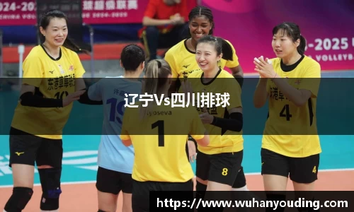 辽宁Vs四川排球